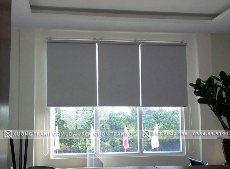 Chọn rèm cuốn giá tốt cho văn phòng cần quan tâm màu sắc