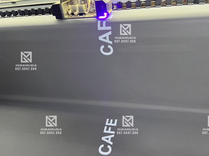 in logo mầu trắng lên vải rèm cuốn