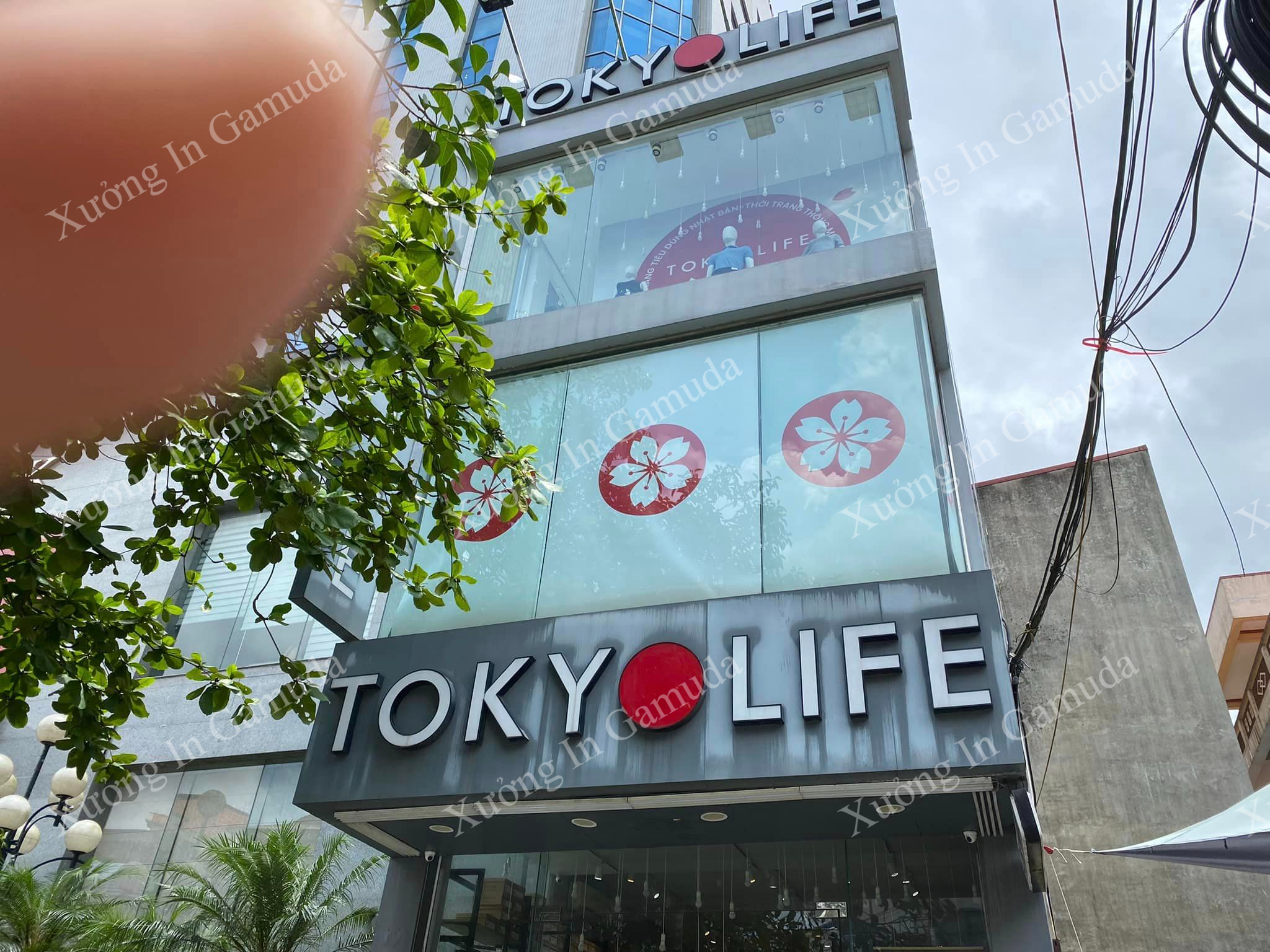 rèm cuốn in logo thương hiệu TokyoLife tại Nam Định